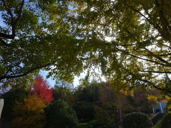 f0231709_12120918.jpg