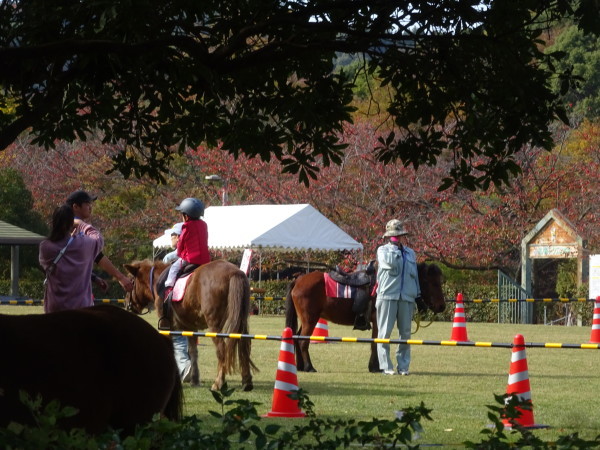 f0231709_12125201.jpg