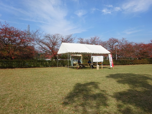 f0231709_12230990.jpg