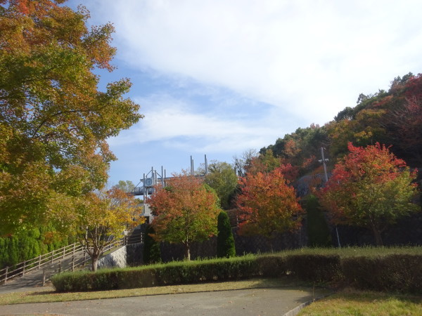 f0231709_12270358.jpg