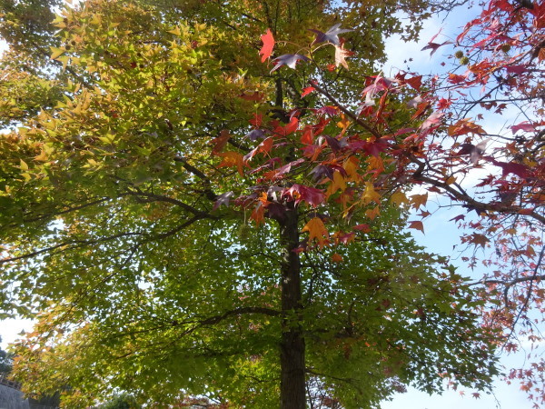 f0231709_12315124.jpg