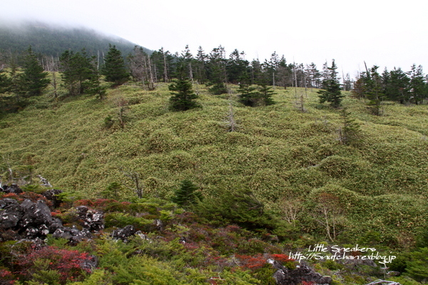 a0068913_16051651.jpg