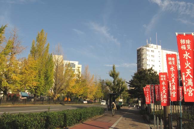 イチョウ黄葉 堀川通り_e0048413_21100703.jpg