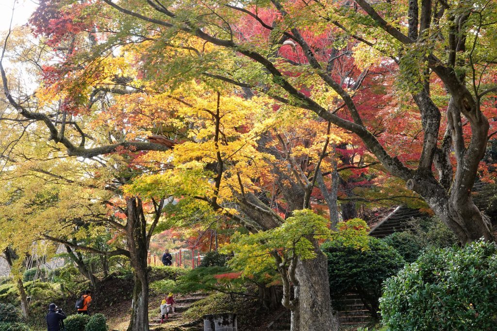 村松公園紅葉_a0085114_20342180.jpg