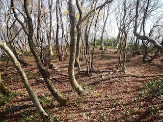 c0359615_23141760.jpg