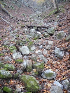 c0359615_23142552.jpg
