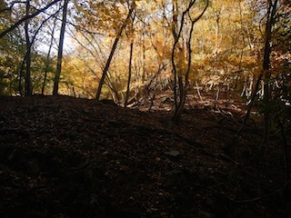 c0359615_23145285.jpg