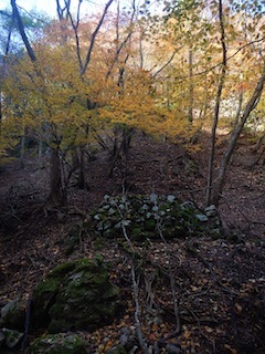 c0359615_23151181.jpg