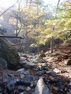 c0359615_23151931.jpg