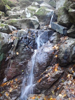 c0359615_23152768.jpg