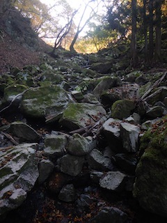 c0359615_23153449.jpg