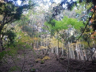 c0359615_23154335.jpg