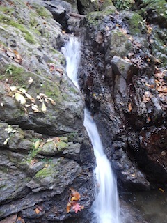 c0359615_23155070.jpg