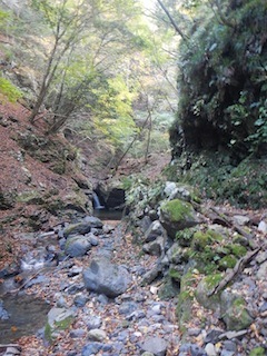 c0359615_23162427.jpg