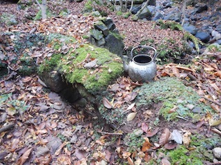c0359615_23163239.jpg