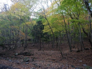 c0359615_23164317.jpg