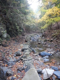 c0359615_23165004.jpg