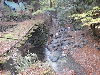 c0359615_23165643.jpg