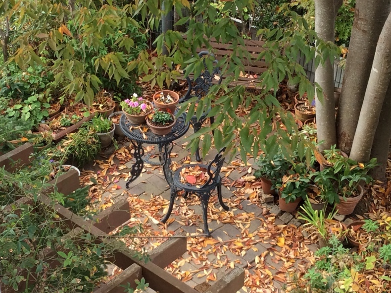 b0344816_17422417.jpeg