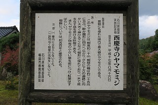 e0081218_22161029.jpg