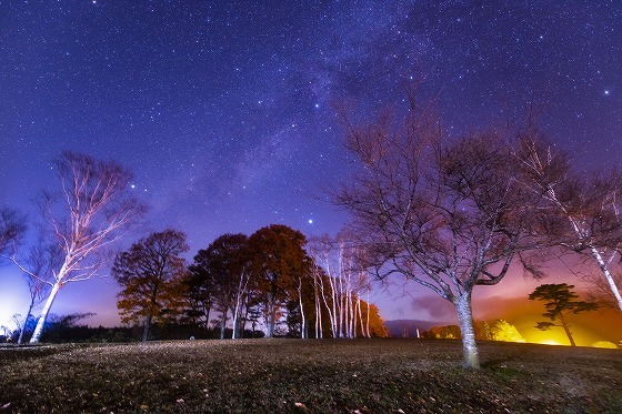 白樺の丘 冬の天の川 傍らにある風景