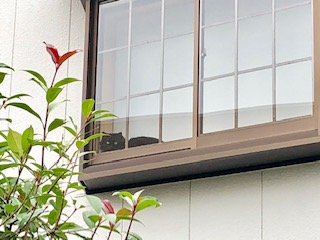 d0025725_2225212.jpg