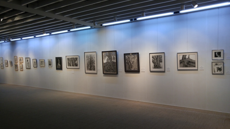 f0361132_16350364.jpg