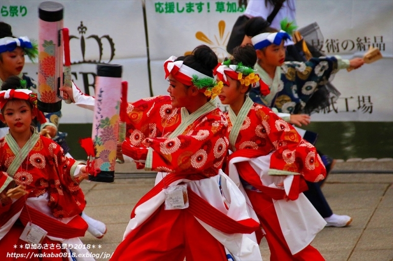 草加ふささら祭り2018・・綾瀬川南側で‥そうか連の舞　NO6_e0052135_17471359.jpg