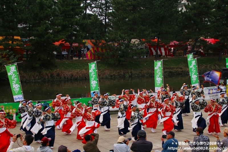 草加ふささら祭り2018・・綾瀬川南側で‥そうか連の舞　NO6_e0052135_17472004.jpg