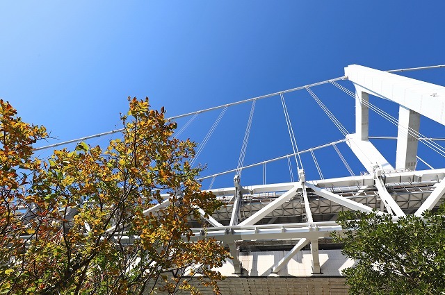 a0242438_21342297.jpg