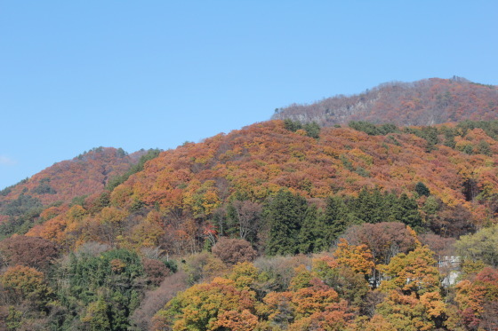 b0132338_08450180.jpeg