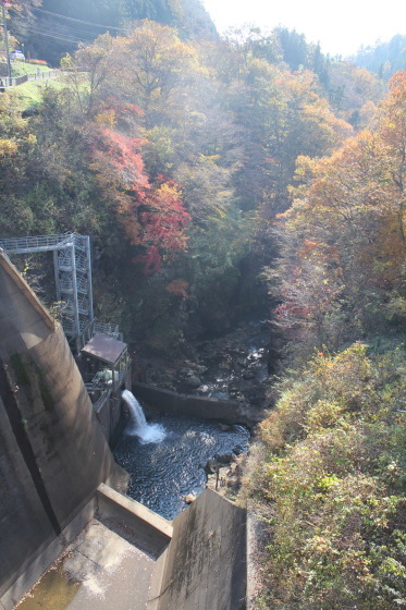 b0132338_08454785.jpeg