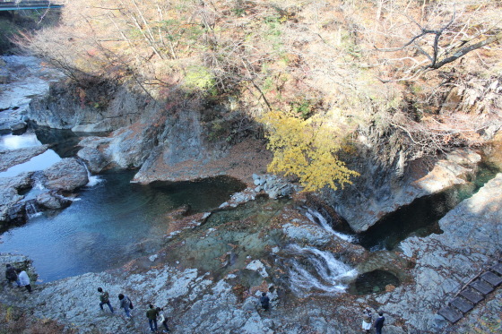 b0132338_08481758.jpeg