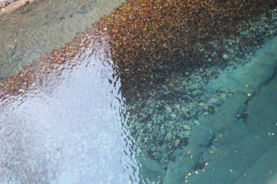 b0132338_09262825.jpeg