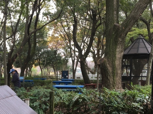 b0330040_16043476.jpeg