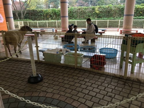 b0330040_16064121.jpeg