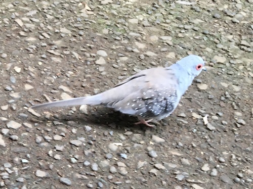 b0330040_22240980.jpeg