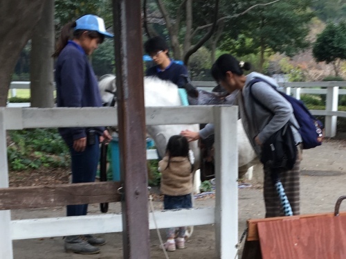 b0330040_22332220.jpeg