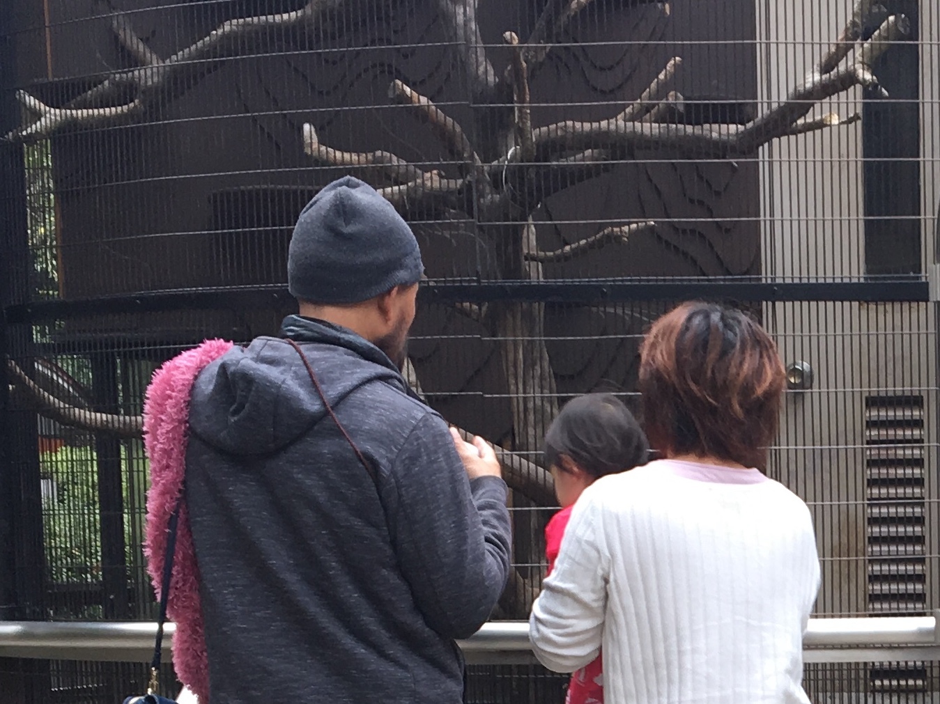 b0330040_22352477.jpeg