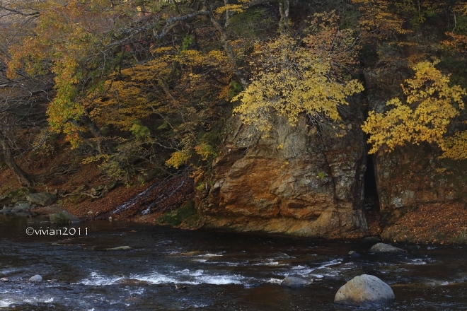e0227942_22164575.jpg
