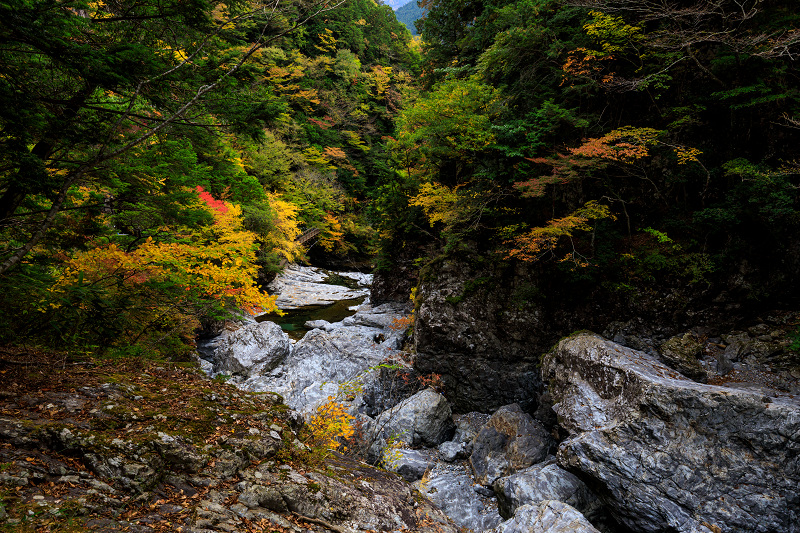 みたらい渓谷の紅葉 花景色 K W C Photoblog みたらい渓谷の紅葉 花景色 K W C Photoblog