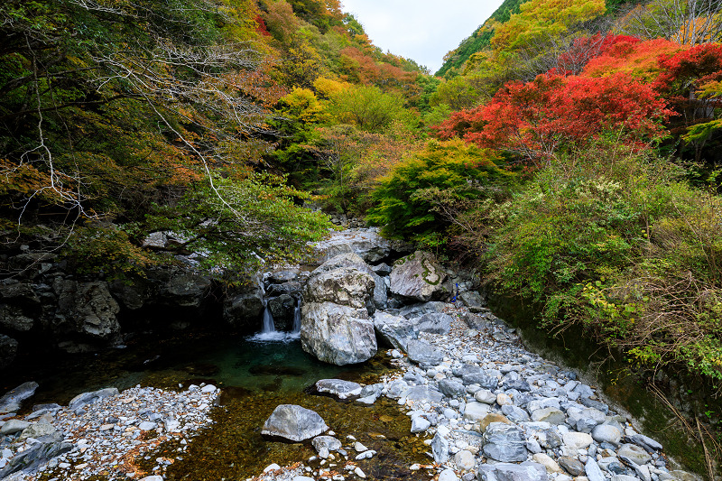 みたらい渓谷の紅葉 花景色 K W C Photoblog