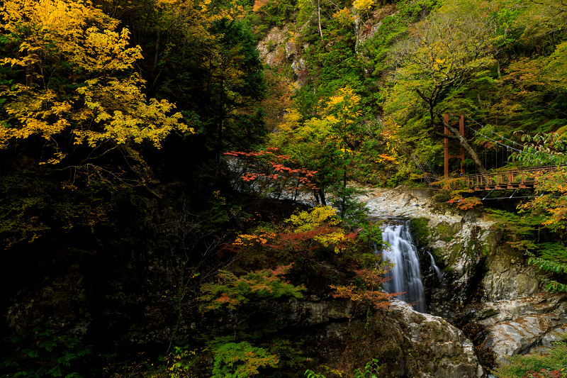 みたらい渓谷の紅葉_f0155048_2332562.jpg