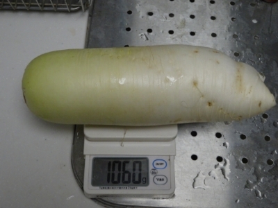 c0330749_20325425.jpg