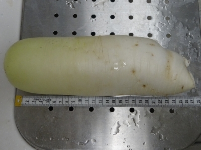 c0330749_20332646.jpg