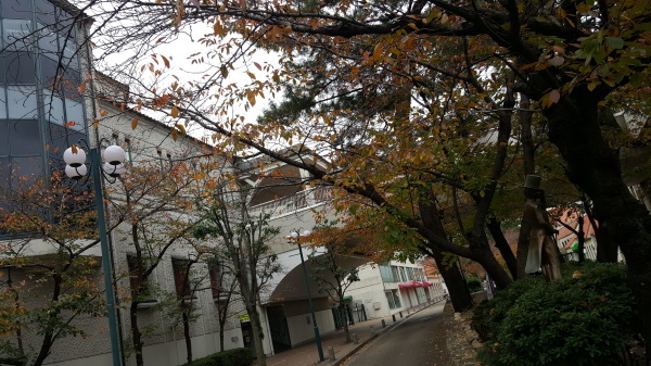 c0353949_22473707.jpg