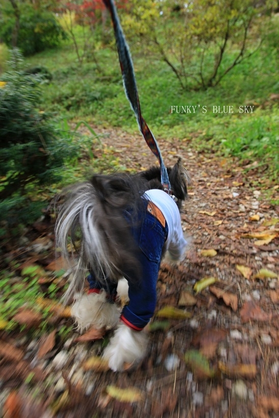 c0145250_10273849.jpg