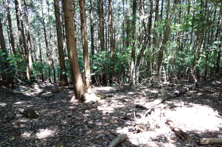 d0345153_20564025.jpg