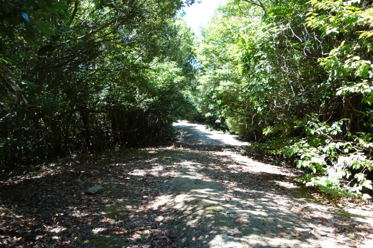 d0345153_20575655.jpg