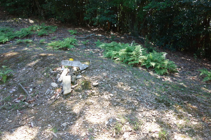 d0345153_20595021.jpg